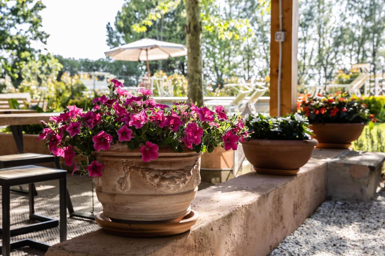 Bed and Breakfast Vecchio Granaio Pisa Exterior foto